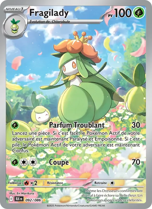 Carte Fragilady