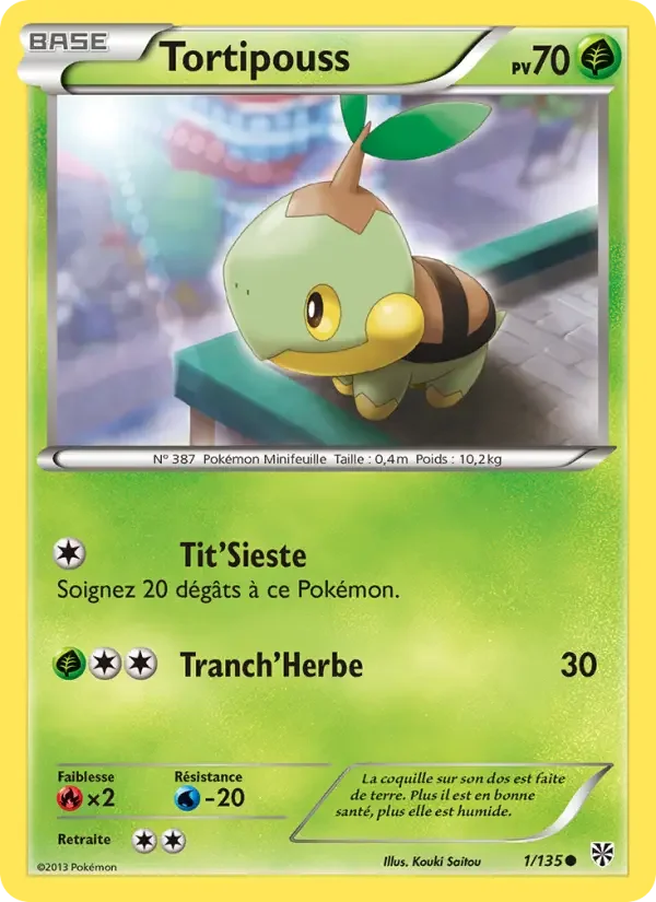 Carte Tortipouss