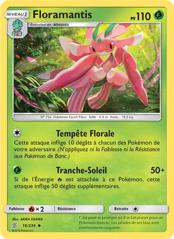 Carte Floramantis