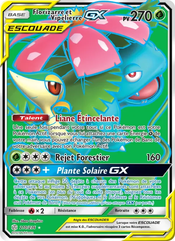 Carte Florizarre et Vipélierre GX