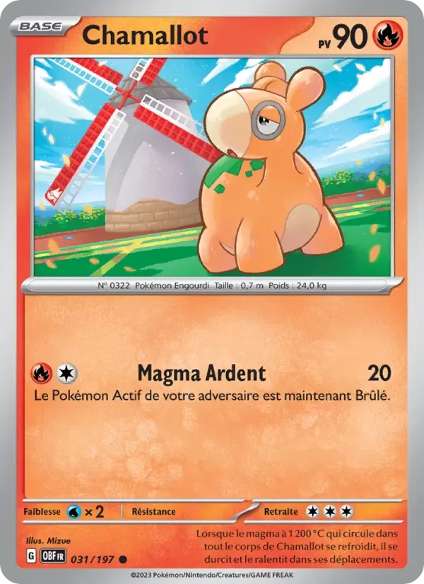 Carte Chamallot
