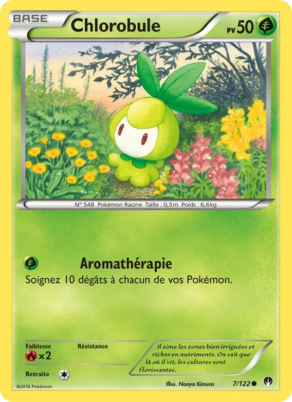 Carte Chlorobule