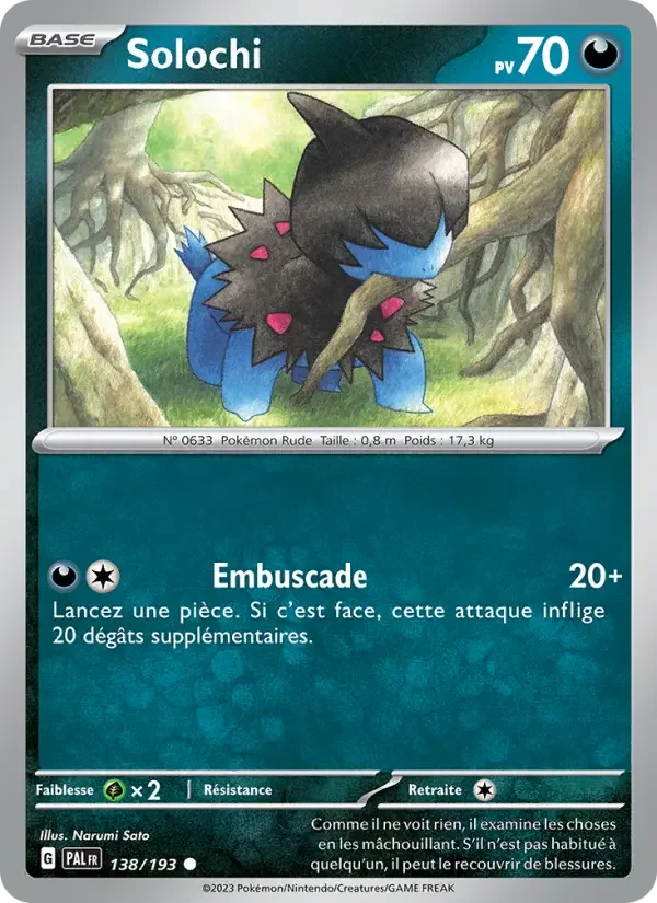 Carte Solochi