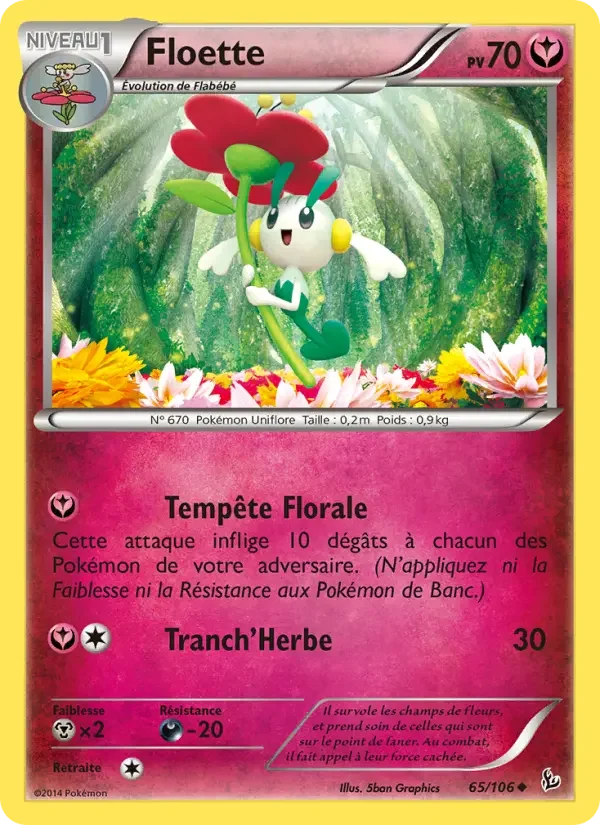 Carte Floette