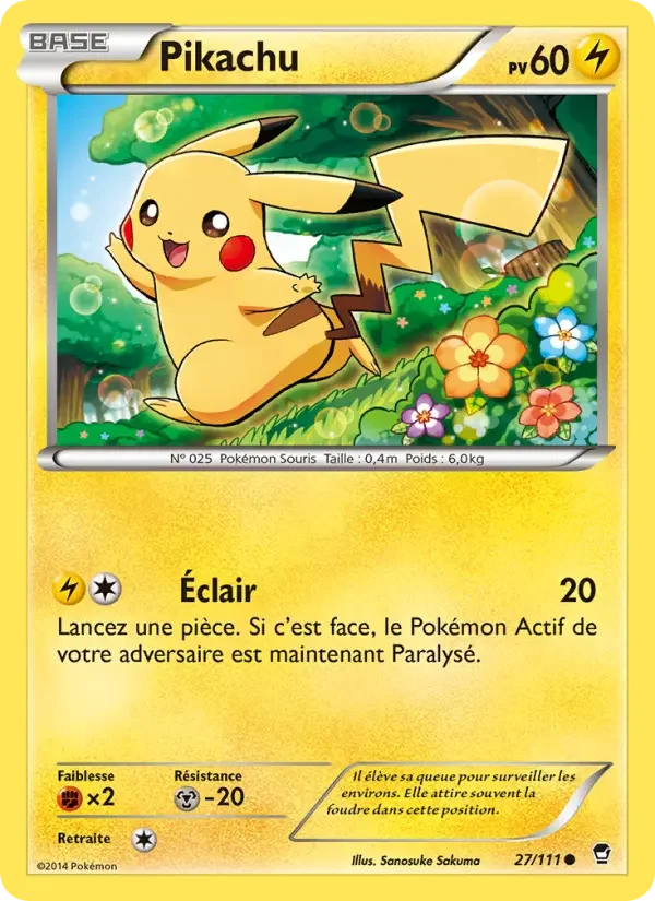 Carte Pikachu
