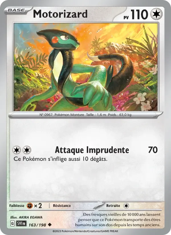 Carte Motorizard