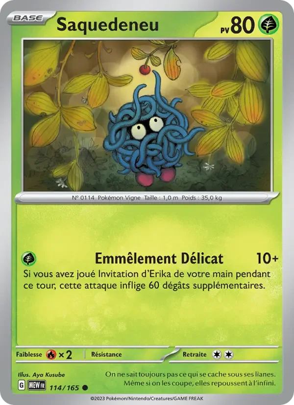 Carte Saquedeneu