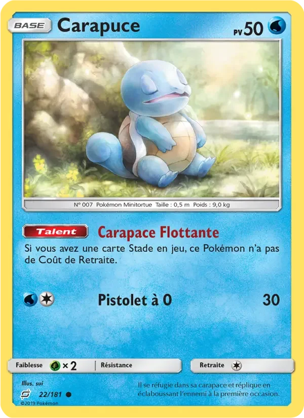 Carte Carapuce