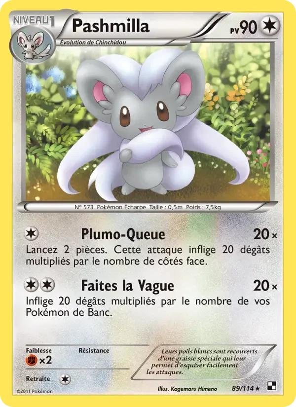 Carte Pashmilla