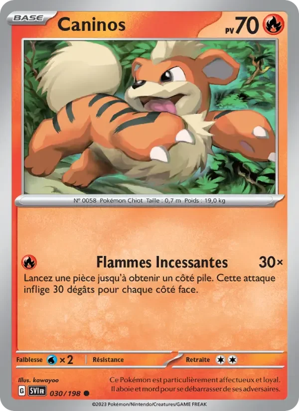 Carte Caninos