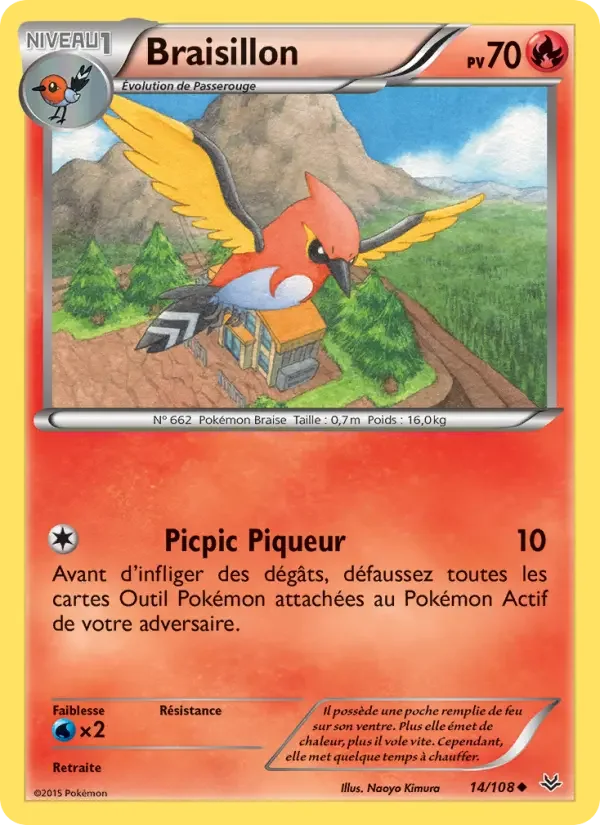 Carte Braisillon