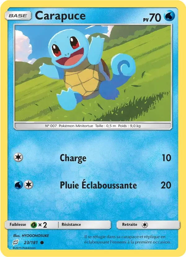 Carte Carapuce