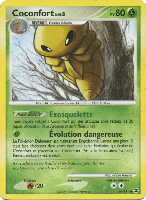 Carte Coconfort Niv. 8
