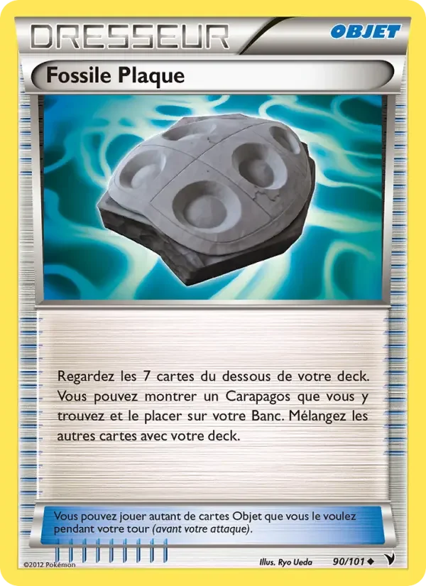 Carte Fossile Plaque