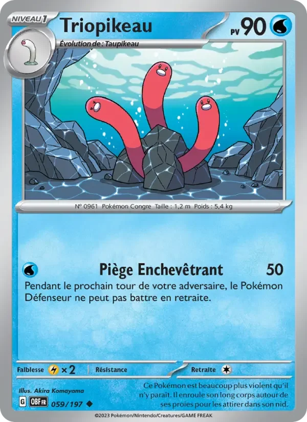 Carte Triopikeau