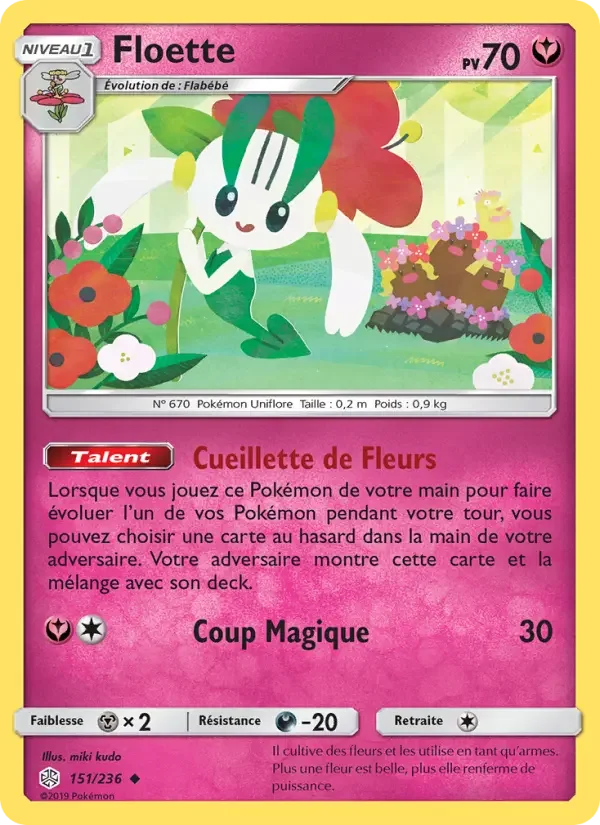Carte Floette