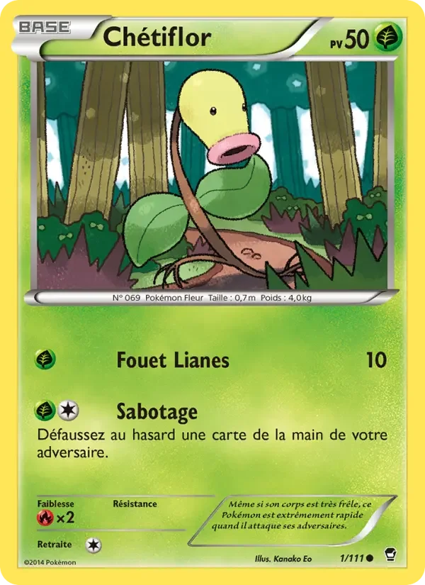 Carte Chétiflor