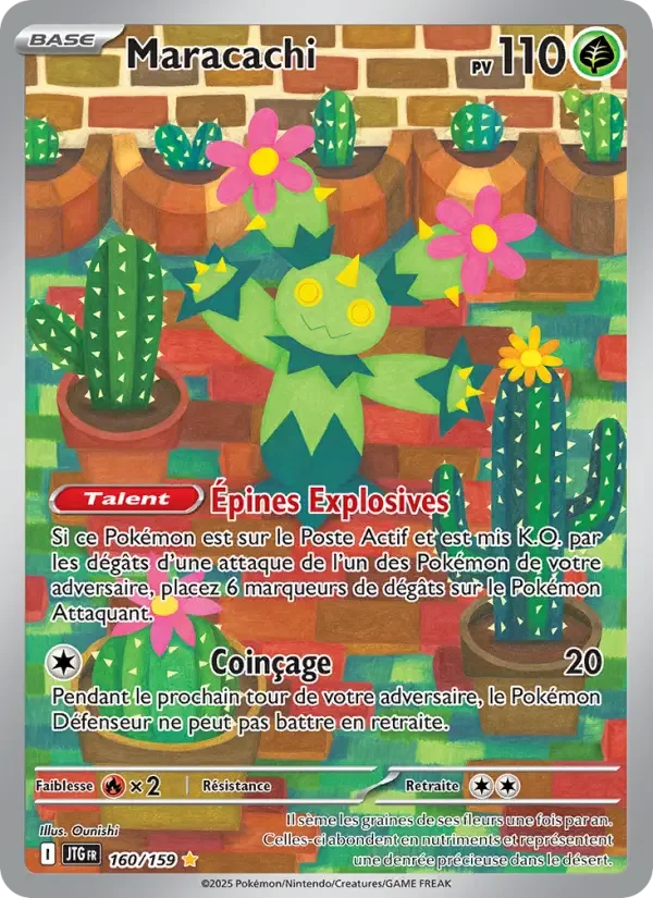 Carte Maracachi