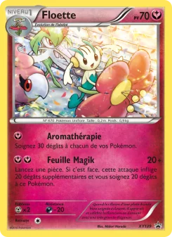 Carte Floette