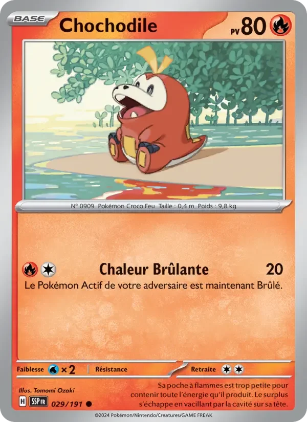 Carte Chochodile