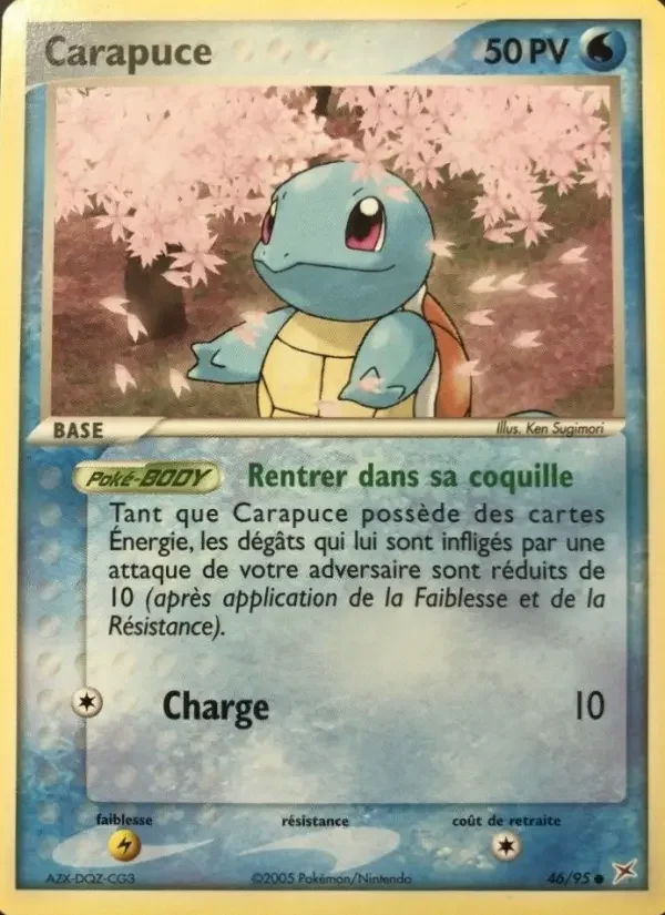 Carte Carapuce