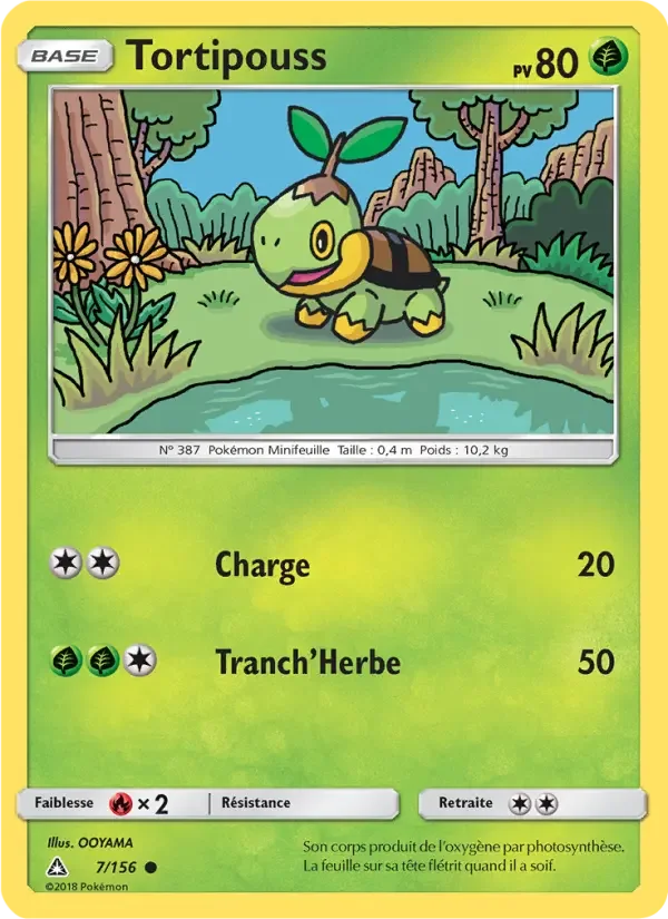 Carte Tortipouss