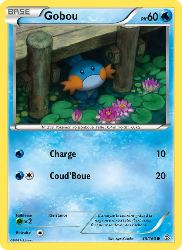 Carte Gobou