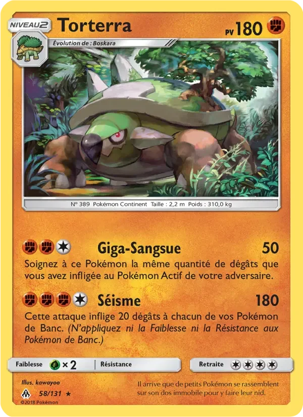 Carte Torterra