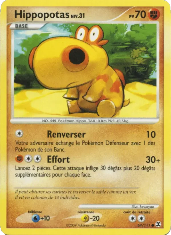 Carte Hippopotas Niv. 31