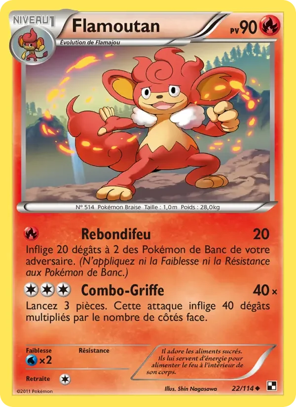 Carte Flamoutan