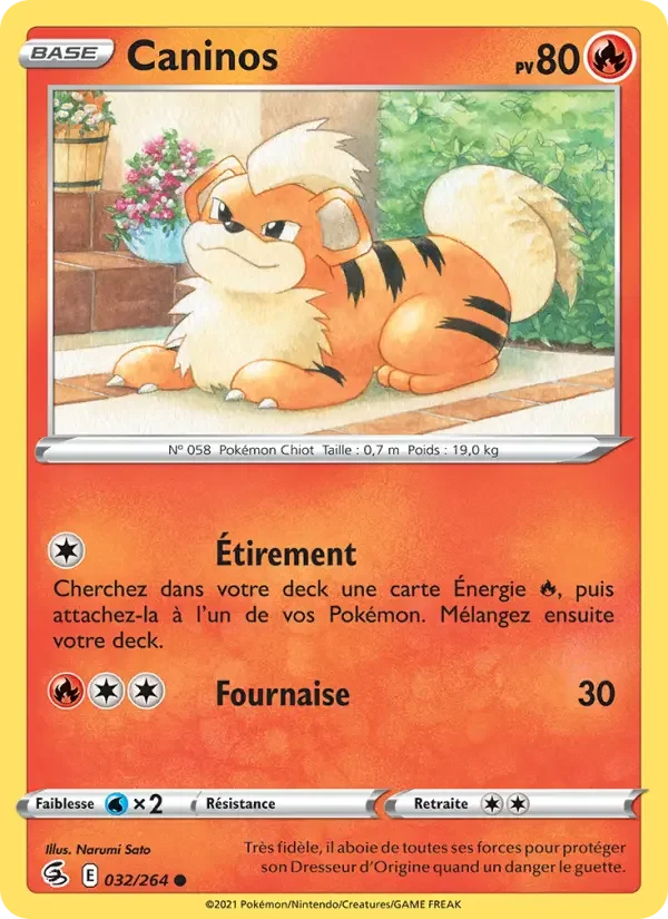 Carte Caninos