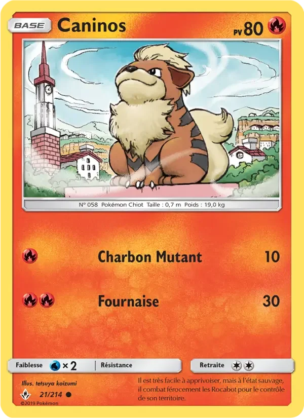 Carte Caninos