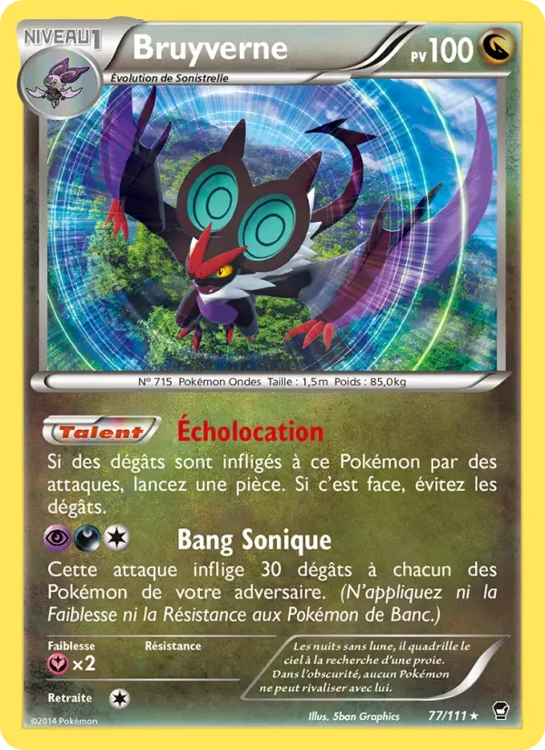Carte Bruyverne