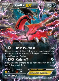 Carte Yveltal EX